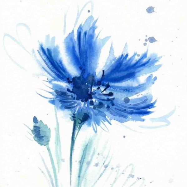 Blauwe korenbloem-aquarelprint: minimalistische bloemenprint aan de muur