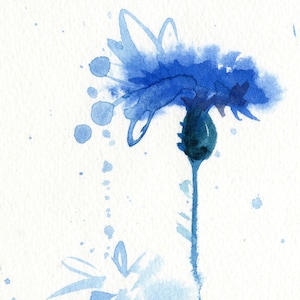 Cornflower Watercolor Giclee Print: Minimalist Blue Flower Wall Art