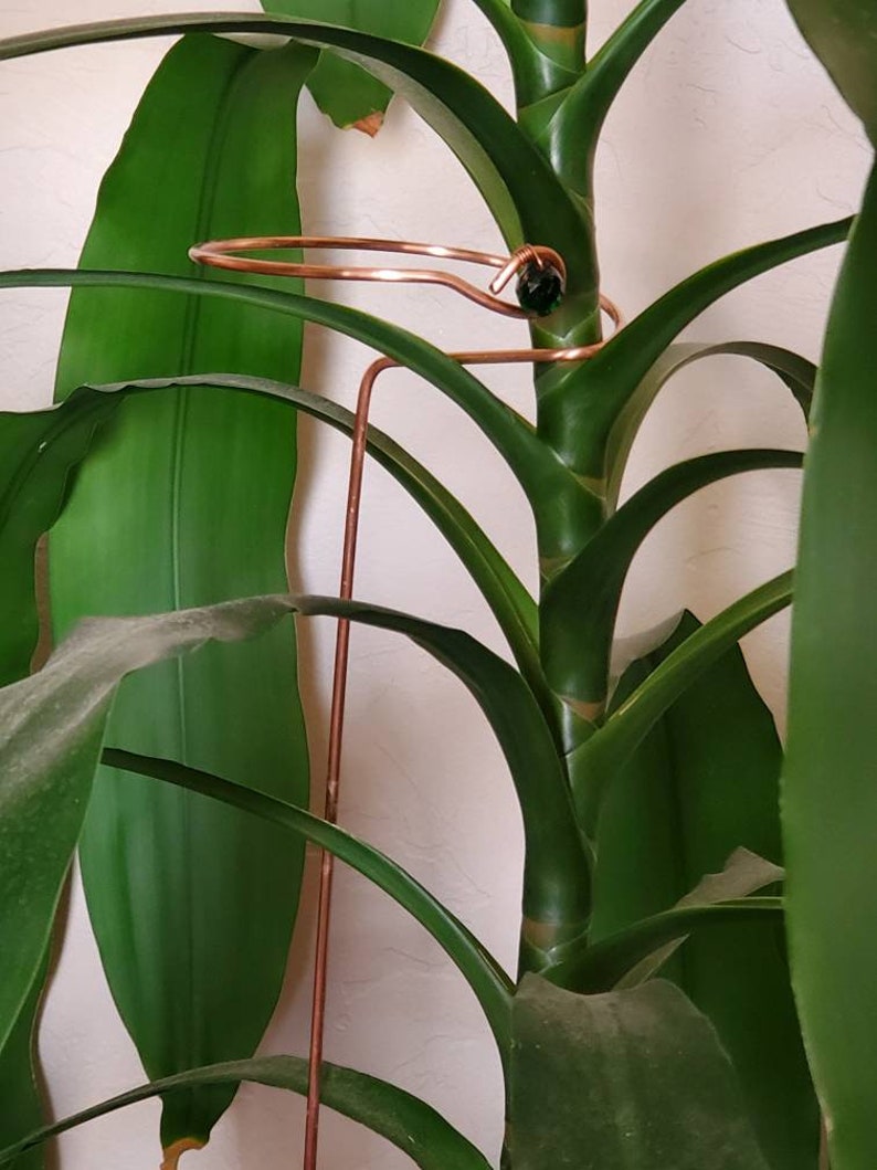 Tall Plant Stakes Copper Wire Stake for Plants Sturdy Plant Etsy