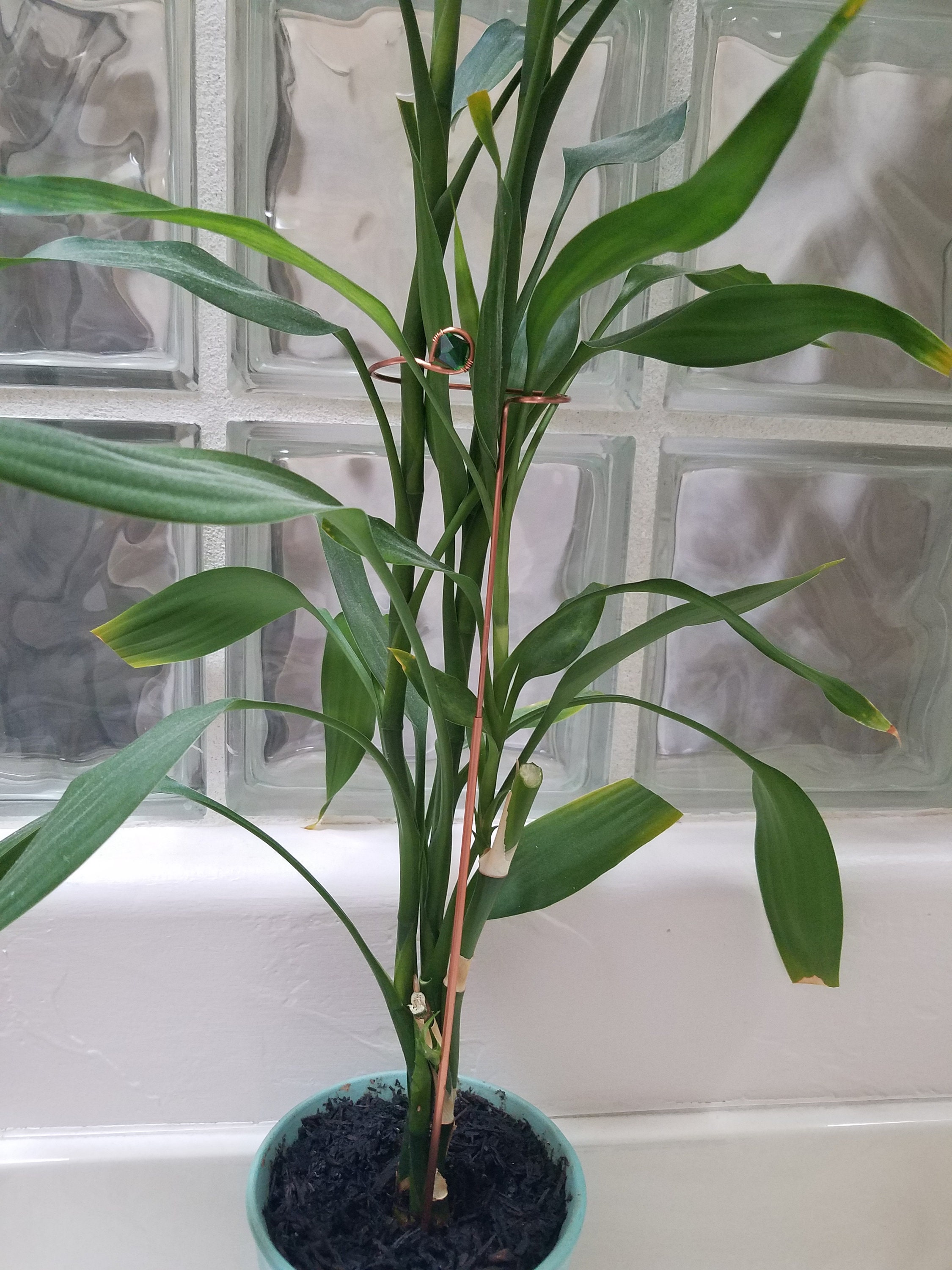 Plant Stakes Copper Wire Stake for Plants Plant Support Etsy