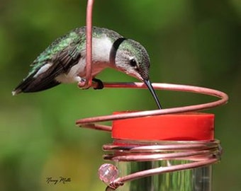 Hummingbird Feeder or Bee Proof Feeder, Copper Wire Hummingbird Feeder, Copper Hummingbird Feeder