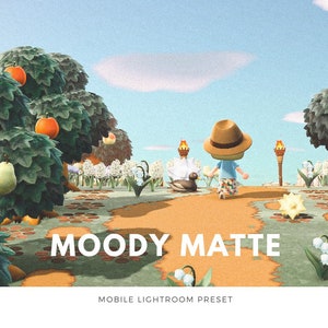 Moody Matte ACNH Lightroom Preset