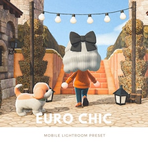 Euro Chic ACNH Mobile Lightroom Preset