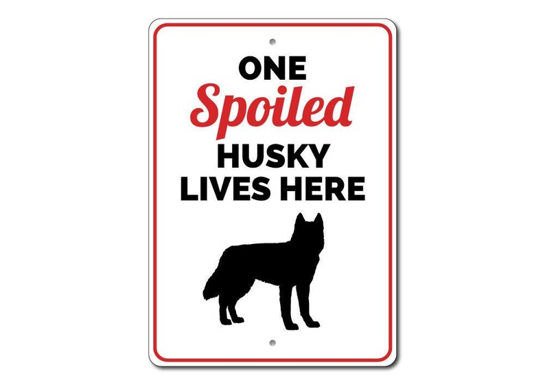 Husky Sign, Husky Gift, Husky Decor, Husky Owner Gift, Husky Lover Sign, Grey Husky, Husky Lives Here Sign, Spoiled Dog Sign, Quality Metal image 3