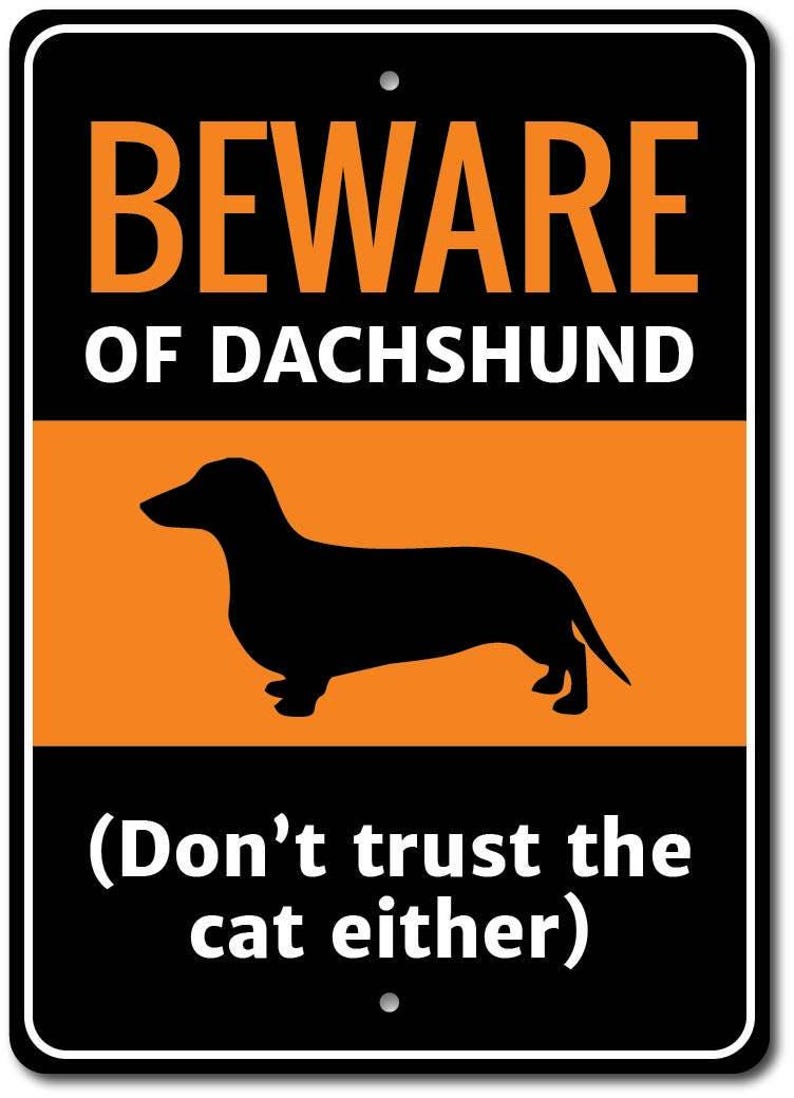 Dachshund Sign, Dachshund Gift, Dachshund Decor, Dachshund Lover Gift, Dachshund Owner Sign, Pipe Dog Sign, Dog Lover Decor, Quality Metal image 2