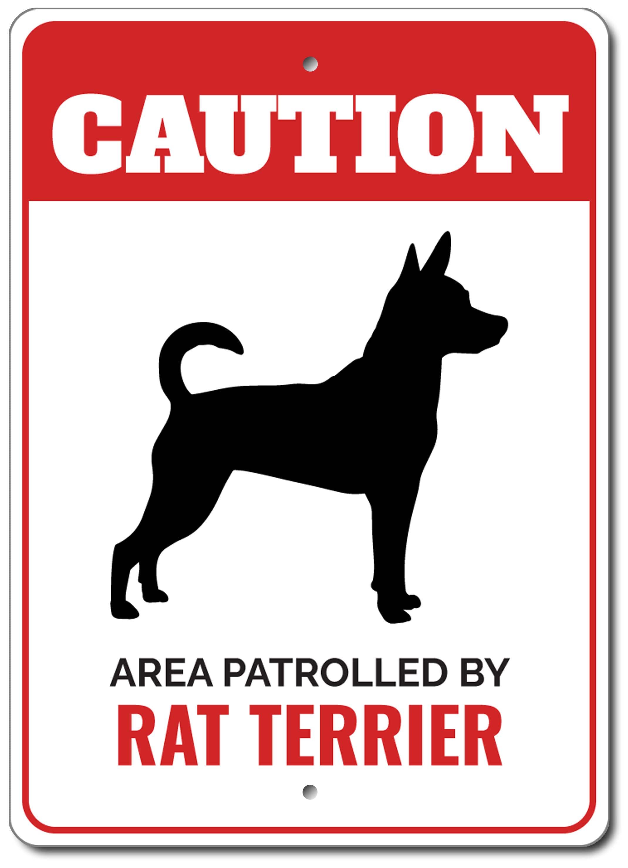 Dog Comma Sign Rads Rat Terrier Dog Sign, Caution Dog Sign, Rat Terrier Lover, Dog Breed ...