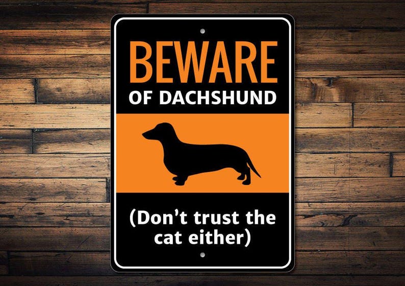 Dachshund Sign, Dachshund Gift, Dachshund Decor, Dachshund Lover Gift, Dachshund Owner Sign, Pipe Dog Sign, Dog Lover Decor, Quality Metal image 1