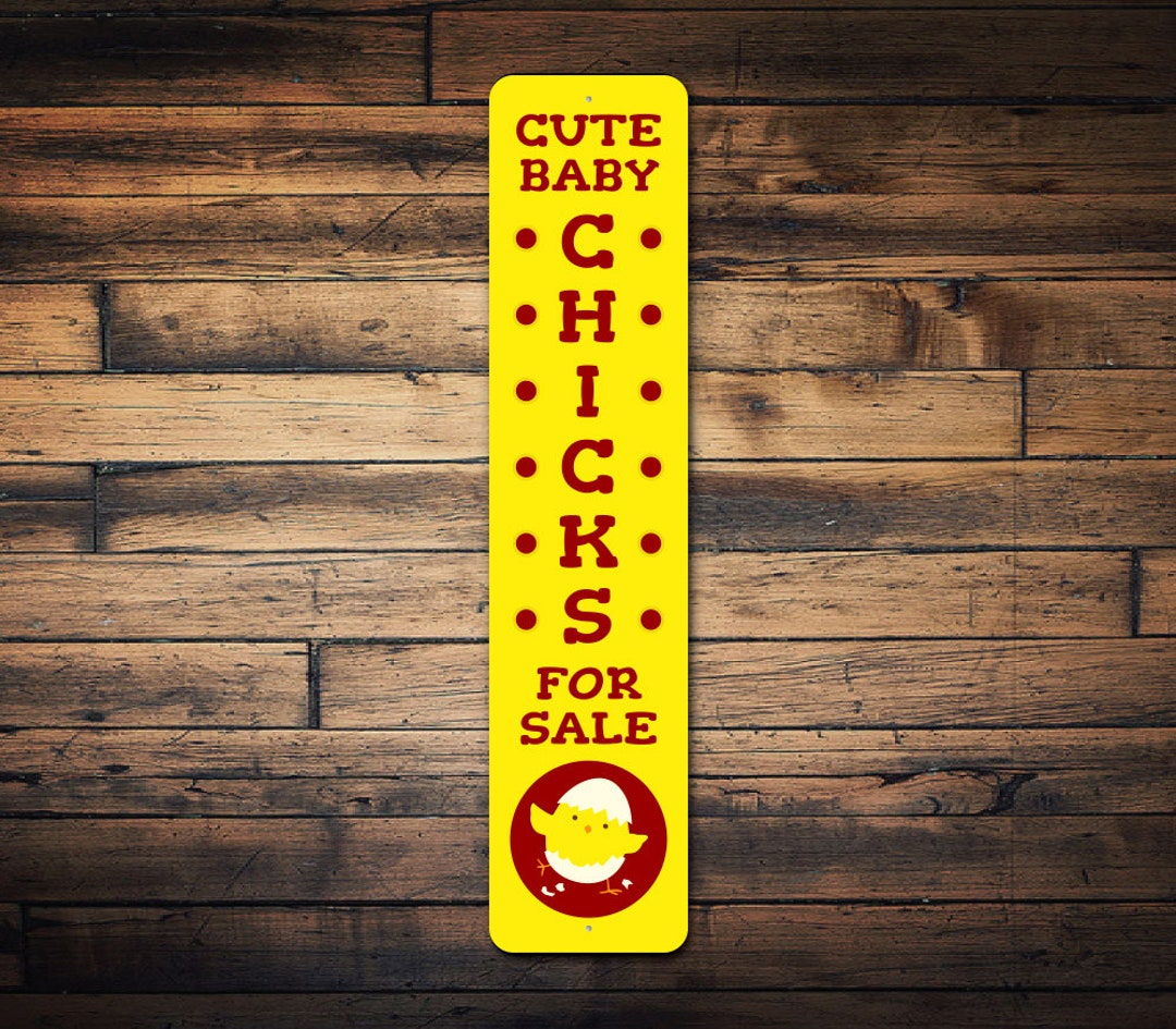 Cute Baby Chicks for Sale Sign, Baby Chicks, Farm Chicken Sign, Chicken
