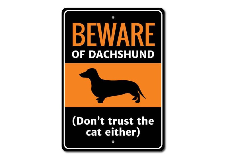 Dachshund Sign, Dachshund Gift, Dachshund Decor, Dachshund Lover Gift, Dachshund Owner Sign, Pipe Dog Sign, Dog Lover Decor, Quality Metal image 3