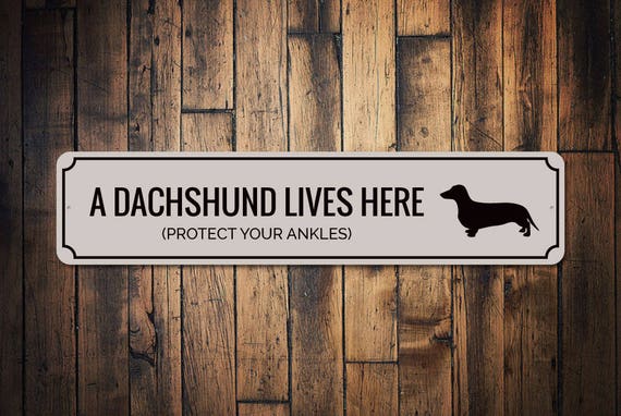 Funny Dachshund Sign, Dachshund Humor Gift, Dachshund Decor, Dachshund Gift, Dog Humor Gift, Dog Owner Sign, Quality Aluminum Dog Owner Sign