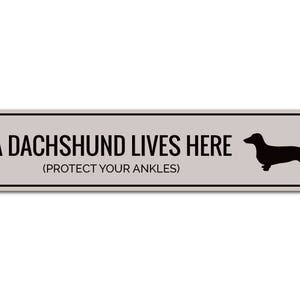 Puede incluir: Un letrero de metal gris con esquinas redondeadas y texto negro que dice "A Dachshund Lives Here (Protect Your Ankles)". Una silueta negra de un Dachshund est&aacute; a la derecha del texto.