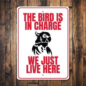Parrot In Charge, Parrot Owner Sign, Parrot Decor Sign, Parrot Home, Parrot, Parrot Decor, Parrot Lady, Mean Parrot Sign- Metal Bird Signs