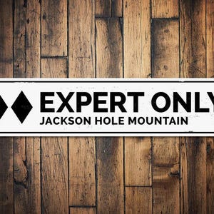 Double Black Diamond Expert Only Ski Sign, Personalized Mountain Lover Sign, Custom Metal Skiing Cabin Decor, Expert Ski - Quality Aluminum