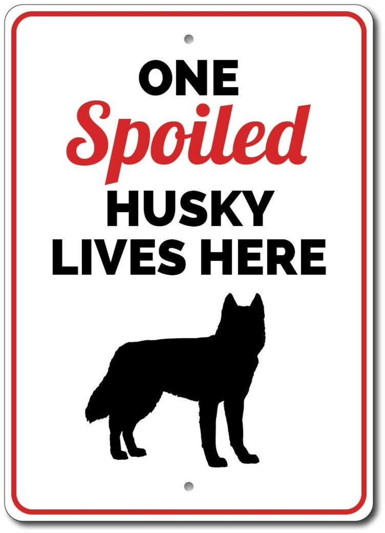 Husky Sign, Husky Gift, Husky Decor, Husky Owner Gift, Husky Lover Sign, Grey Husky, Husky Lives Here Sign, Spoiled Dog Sign, Quality Metal image 2