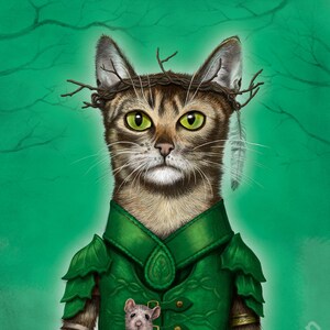 Fantasy Cat Hero - Druid Cat