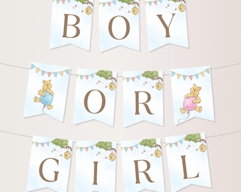Editable Winnie the Pooh Gender Reveal Bunting Flags (Canva Template, Digital Download)