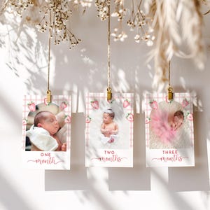 Tarjetas fotográficas mensuales editables para el primer cumpleaños de una niña con diseño de bayas, fresa, cuadros rosas y un adorable primer cumpleaños.