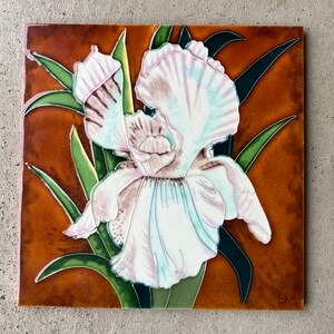 Puede incluir: Una flor de iris blanca y morada con hojas verdes sobre un fondo marrón. La flor está pintada en un estilo realista y tiene un aspecto delicado y femenino.