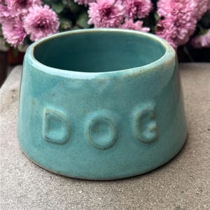 May include: A turquoise ceramic dog bowl with the word "DOG" embossed on the side. The bowl has a wide, rounded shape and sits on a flat base. The background features pink flowers.