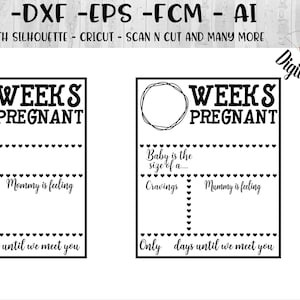 Weekly Pregnancy Board Photo Prop SVG - png - dxf - eps - ai - fcm - Cut file - Silhouette - Cricut - Pregnancy Milestones SVG -
