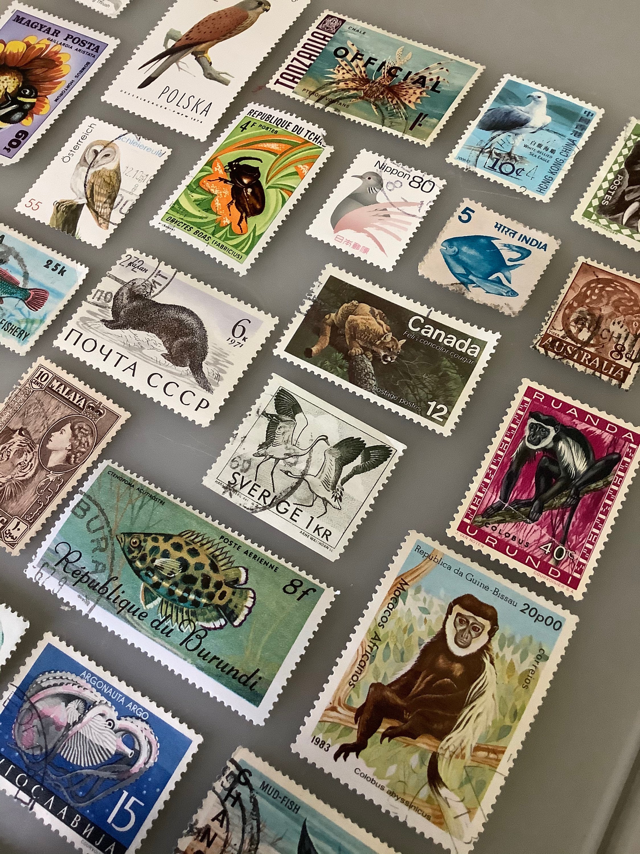 Animal stamps 20 vintage postage lot for cards and Etsy