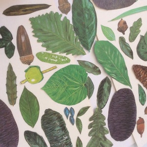 Blad gestanst stijl versieringen, groene bladeren dennenappels gele herfst lente bos boom handgekapte vintage boomboek veel van 40