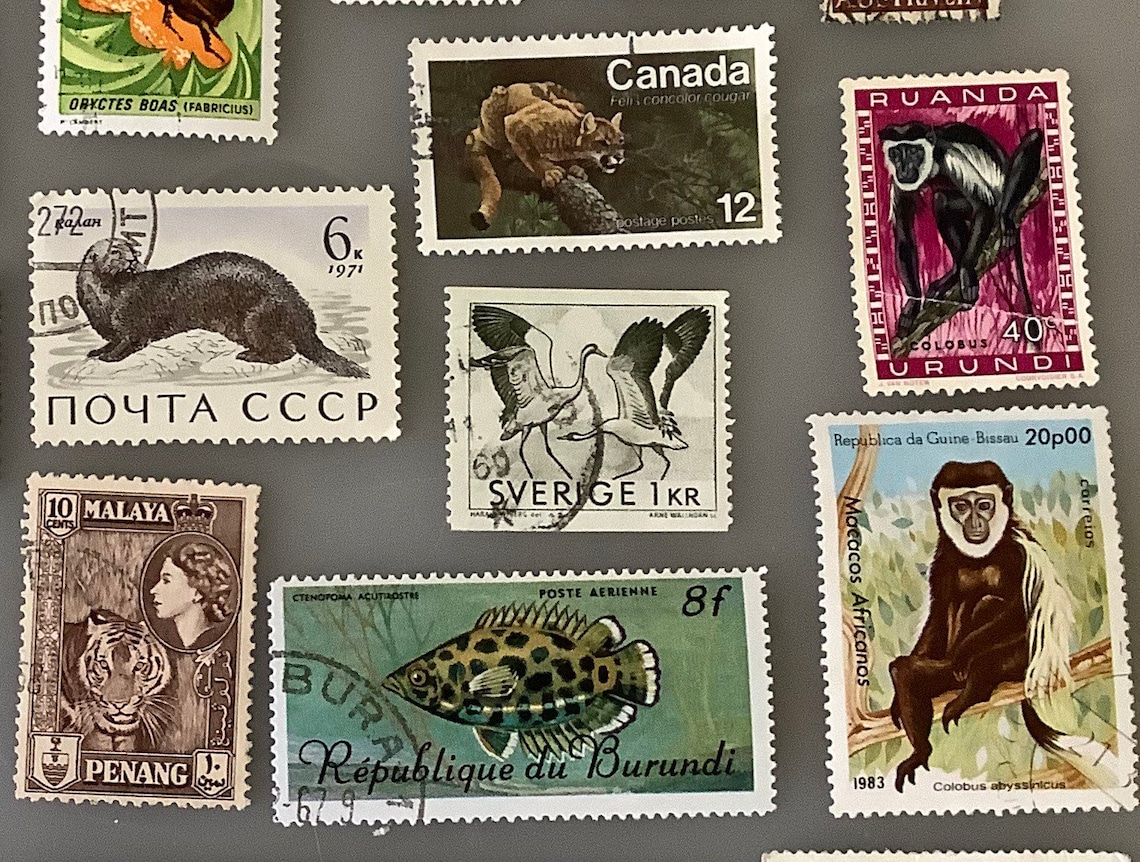 Animal stamps 20 vintage postage lot for cards and Etsy