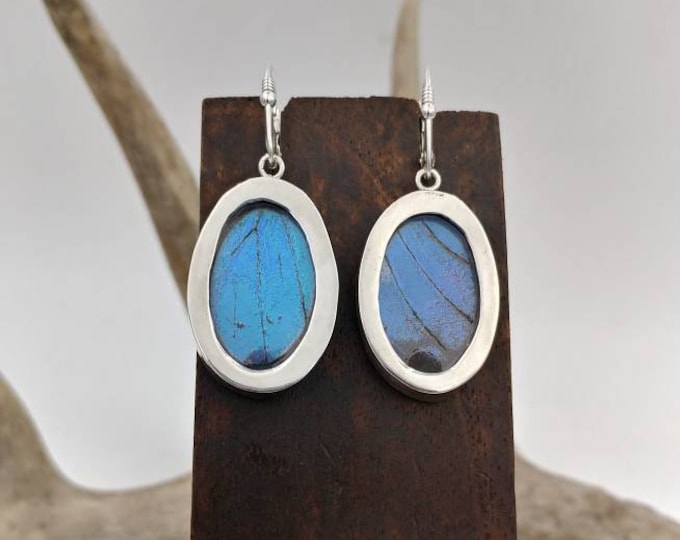 Sterling Silver and Blue Morpho Dangle Earrings