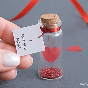 Ik hou van je moeder Bericht in een fles. Uniek gepersonaliseerd cadeau voor mama van dochter. Souvenircadeau / M