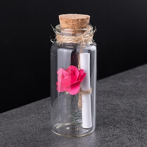 May include: A clear glass bottle with a cork stopper, twine, and a pink rose inside. A rolled-up paper scroll is also inside. The bottle is on a gray surface with a black background. The website address www.TheSeaDreamers.etsy.com is visible.