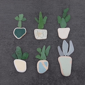 Suministros de bricolaje para plantas de cerámica de vidrio marino. Obra de arte original hecha a mano, regalo para amantes de las plantas suculentas y los cactus