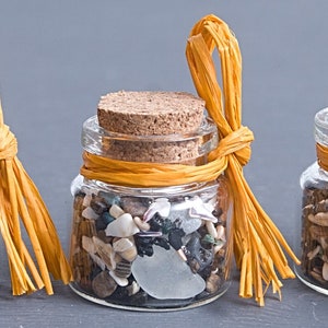 Seashells in bottle 1 1/4&quot; for Party gifts for guests, Beach lover, Wedding favors, Sea glass vial, Beach home decor / S