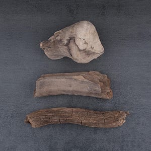 May include: Three pieces of driftwood in varying shapes and sizes are arranged on a gray surface. The top piece is a light beige color, the middle piece is a medium brown, and the bottom piece is a darker brown with visible cracks.