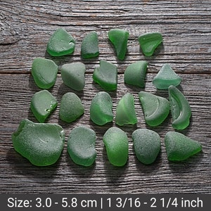 20 stuks groene fles bodem zeeglas set, strand knutselen, diverse zeeglas, fles bodem stukken, zeeglas woondecoratie, decor strandfeest