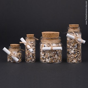 Mini Message Bottles with Seashells – Wish Jar Gift with Scroll – Happiness in a Bottle – Coastal Keepsake