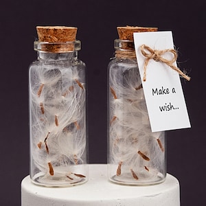 Fles paardebloemzaad, doe een wens cadeau, verjaardagscadeaus, wenspot feestartikelen, sprookjesfles, cadeau voor vriend