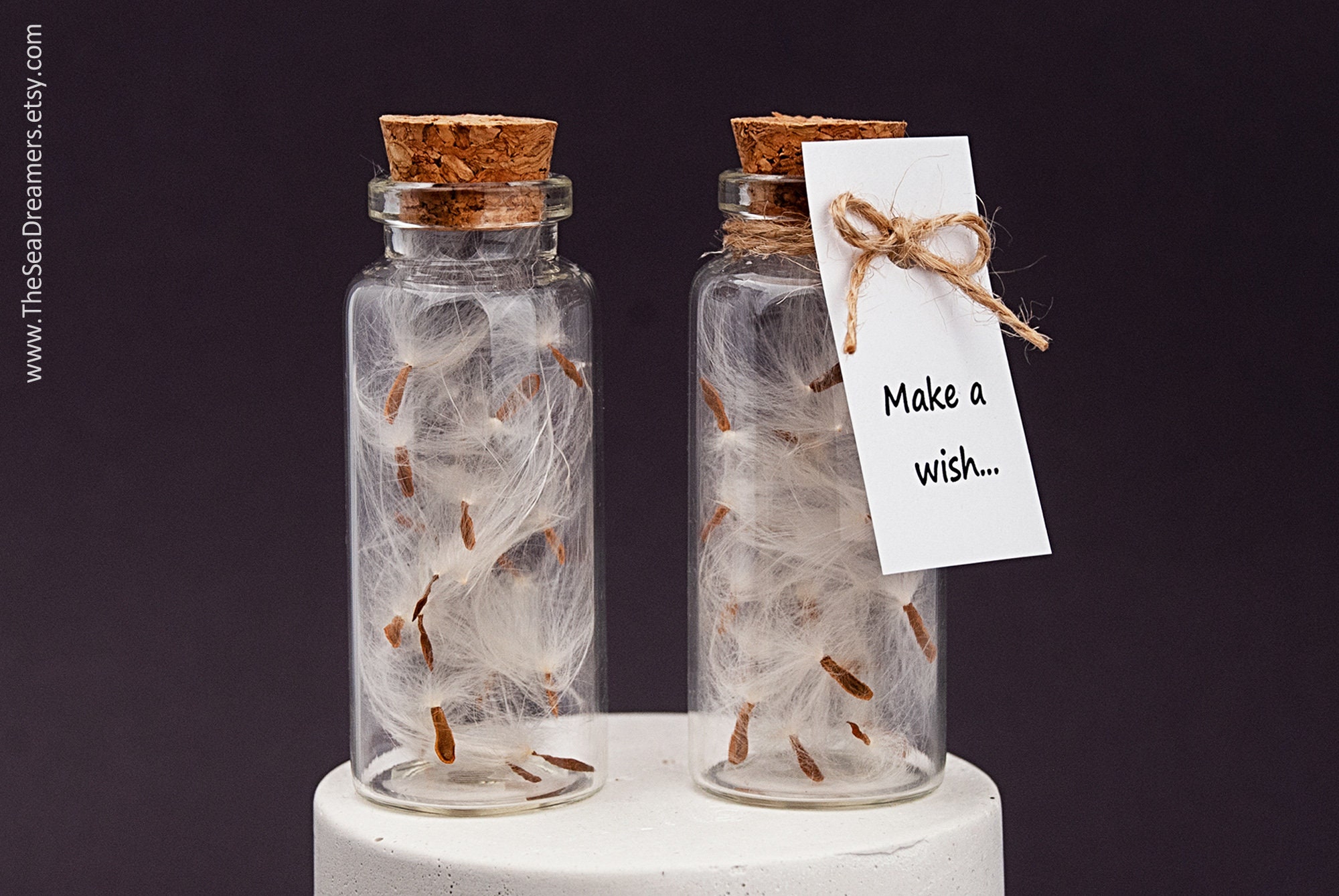 CHOORO Löwenzahn Wunsch-Taschenspiegel – Graviert '11:11 Make A Wish', Edelstahl, Geschenkbox