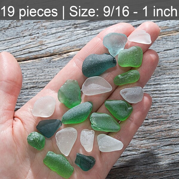 Real Sea Glass Etsy