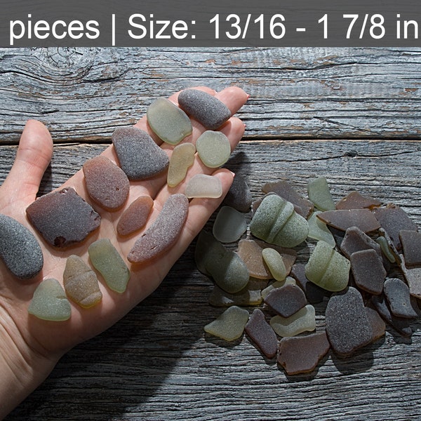 Forest green and Brown sea glass 53pcs. Beach glass Bulk. Olive sea glass. Beach crafting. Sea glass art project. Green sea glass Shades