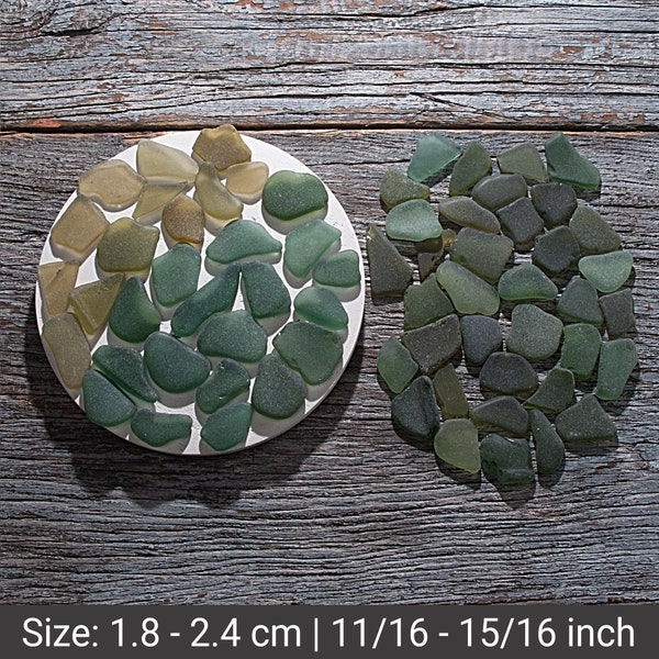 Forest green sea glass 65pcs. Deep olive beach glass. Sea glass crafting. Beach jewelry. Shades of green beach glass. Sea glass seascapes