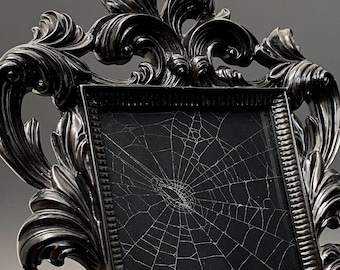 Real Spiderweb, Preserved Spider Web, Spiral Wed, Gothic Ornate Black Frame, Standing Frame, Luxury Gothic Home Decor