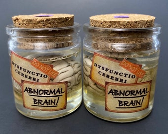 Brain in a Jar, Mini brain, halloween decor, halloween miniature, gothic home decor, Young Frankenstein, Abnormal Brain Do Not Use