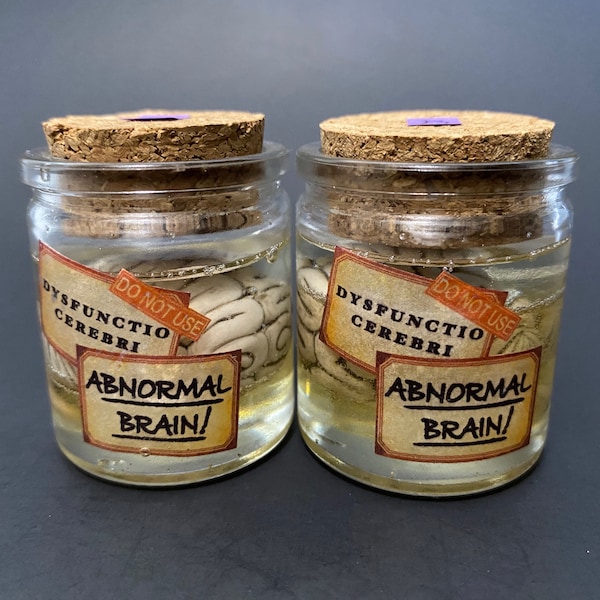 Brain in a Jar - Etsy