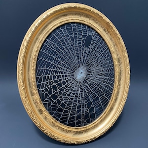 May include: An oval picture frame with a metallic gold finish and an ornate, embossed leaf pattern along the outer edge. The frame contains a dark, solid background featuring a white, intricate spider web design centered within the oval glass.