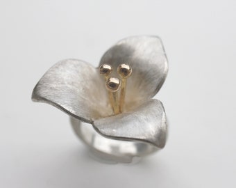 Vergänglicher Ring