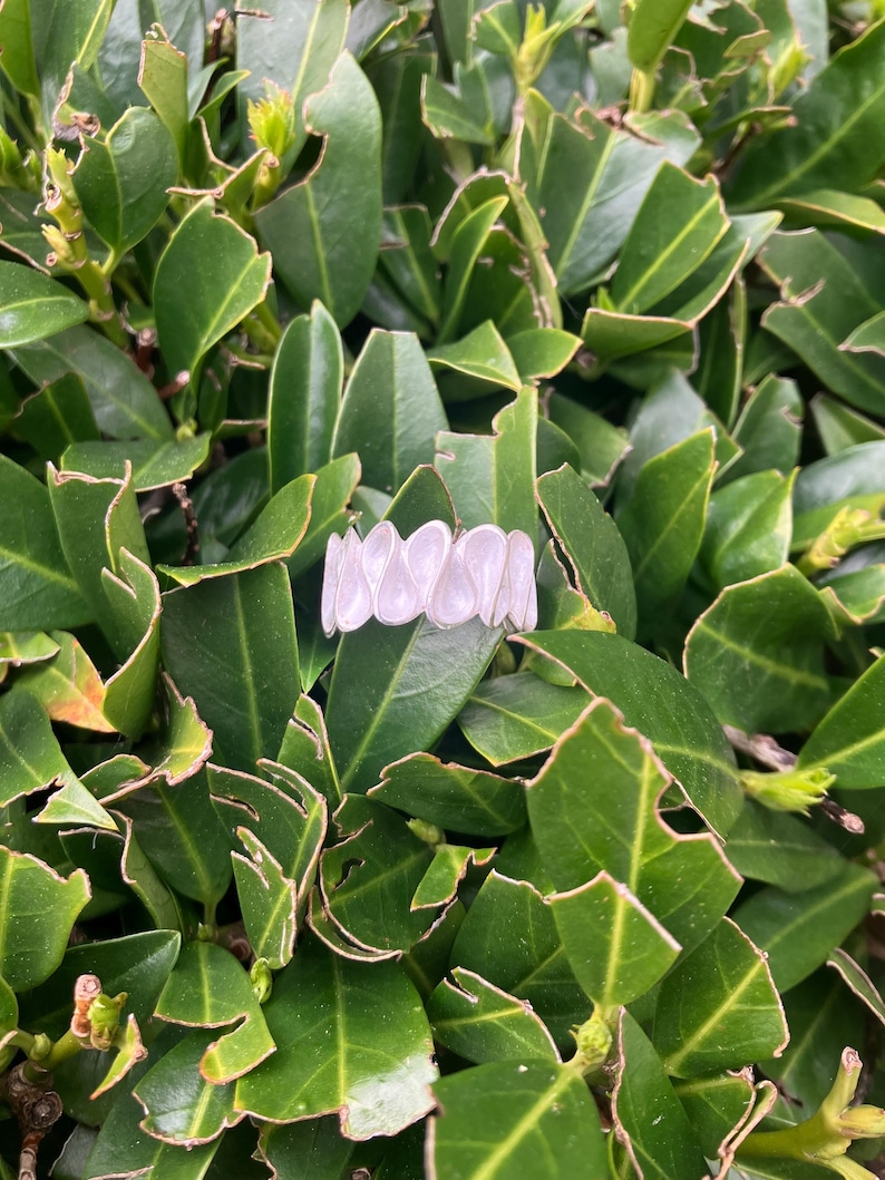 K&ouml;nnte beinhalten: Ein wei&szlig;er Plastikring mit einer Reihe von tropfenf&ouml;rmigen Perlen. Der Ring liegt auf einem Bett aus gr&uuml;nen Bl&auml;ttern.
