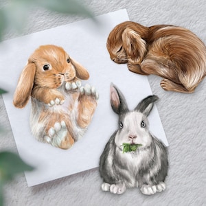 Realistic rabbit illustration stickers, cute waterproof rabbit stickers, brown rabbit sticker, grey rabbit, sleeping rabbit, chubby bunnies