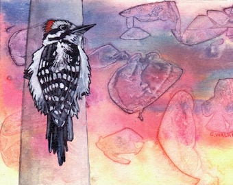 Woodpecker print, Woodpecker painting watercolour, bird decor, Woodpecker art gift, bird lover, Canadian bird painting, cottage decor, downy