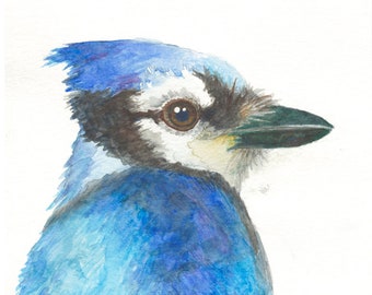 Blue Jay print bird watercolour painting, blue jay art, watercolour bird print, Canadian wildlife art, cottage decor Canada, bird lover gift