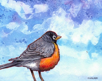 Robin print, watercolour Robin painting, American Robin bird wall art, bird lover, bird art print, Robin gift for birdwatcher, robin decor